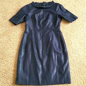 Banana Republic High Cowl Neck Dress
